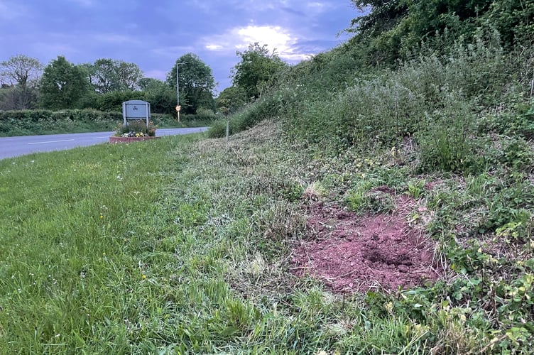 The hole where the tree was stolen with the Rotary planter in the background at the entrance to Crediton.  