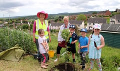 Children enjoyed planting apple trees at Crediton Community Allotment
