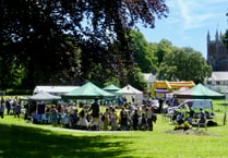 Family Fun Day to be held at Newcombes Meadow
