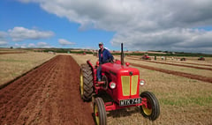 Cheriton Fitzpaine Ploughing Association seeks more officers
