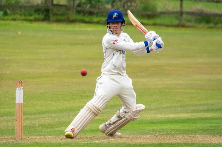 Sandford Cricket