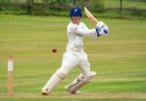 Sandford Cricket Club attacked Plymouth bowling from the off
