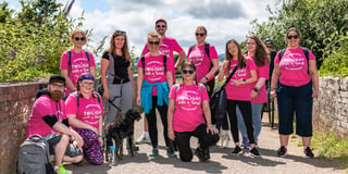 Local hospice’s Twilight Walk set to turn Exmouth pink for a day
