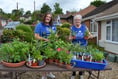 Crediton plant sale raised £400 for FORCE

