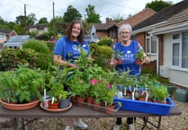 Plant sale in aid of Crediton Friends of FORCE
