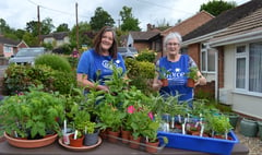 Crediton plant sale raised £400 for FORCE

