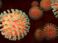 Public advised to stay at home if unwell, as Covid-19 cases rise

