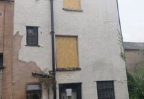 43 pigeons ‘made homeless’ after being ‘evicted’ from Crediton cottage
