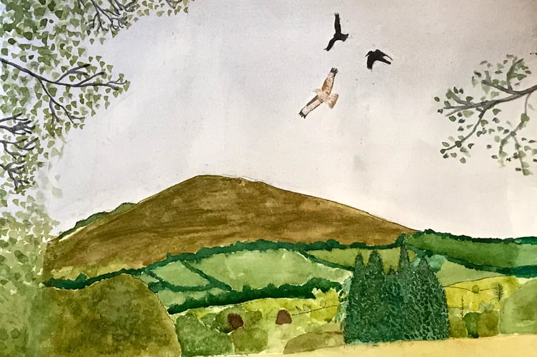 Devon CPRE Young Landscape Artist comp 2021 winner (younger age group) Matilda Baker from Dartmoor depicting Meldon Hill.