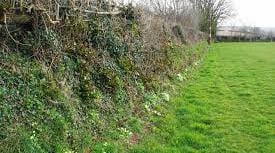 Devon Hedge Awards theme announced