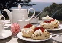 Book for a free cream tea at a Devon ‘Frawsy’ 

