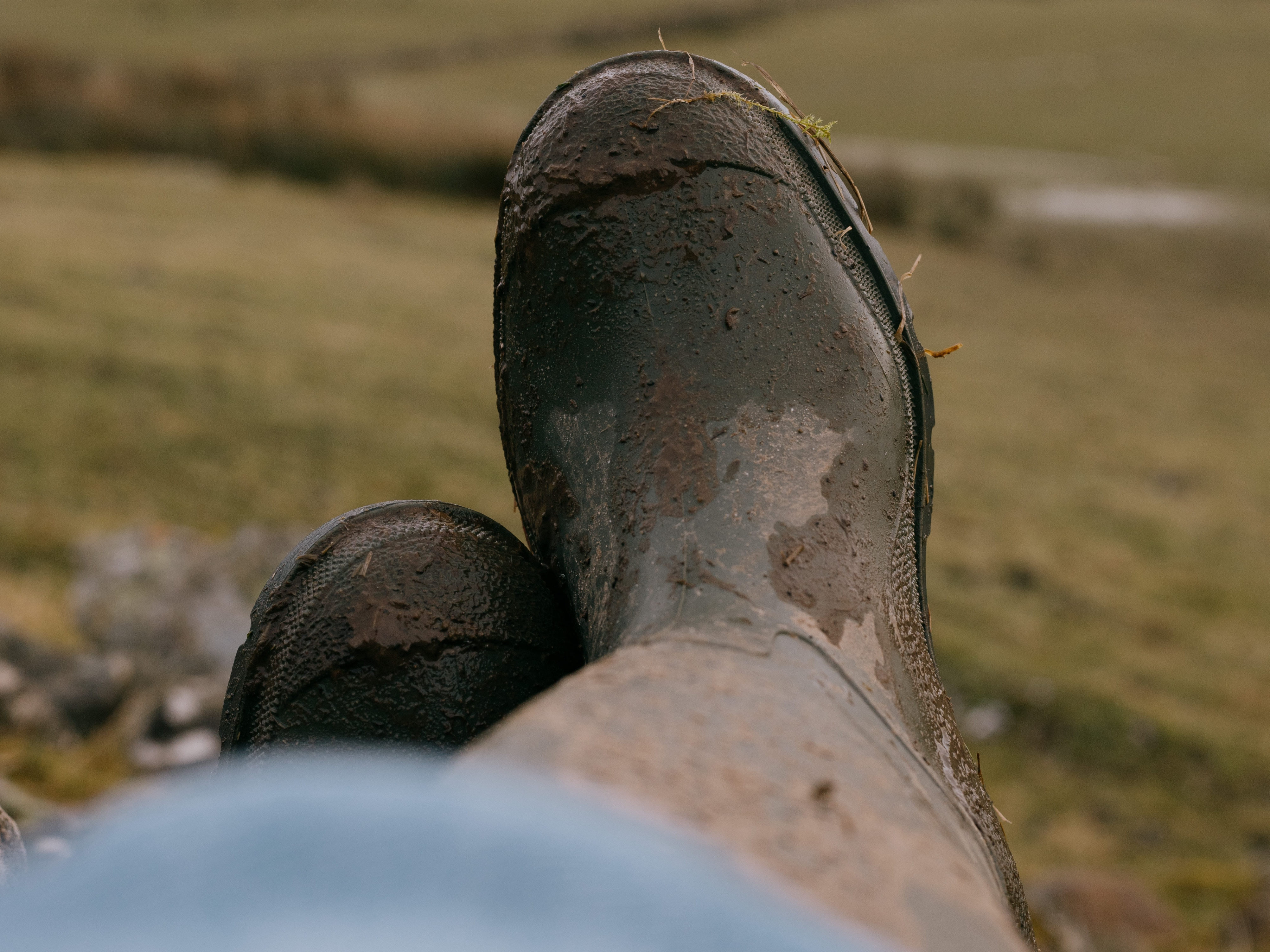 Women in farming wellbeing survey launched
