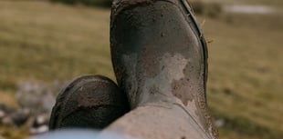 Women in farming wellbeing survey launched
