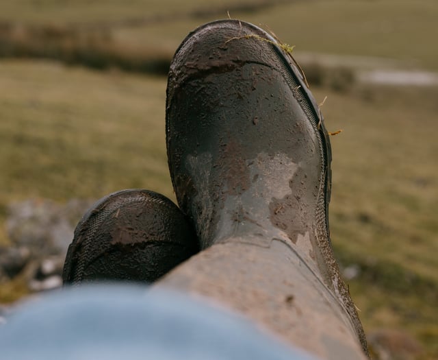 Women in farming wellbeing survey launched
