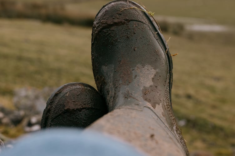muddy wellies

for general farming stories