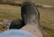 Women in farming wellbeing survey launched