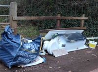 Litter louts face losing their driving licences  
