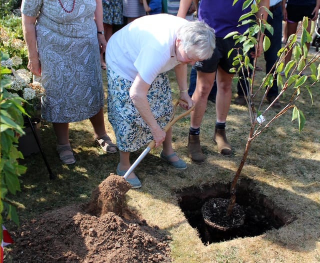 YFC tree plant to mark royal Jubilee