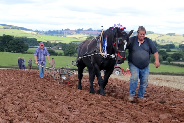 Don’t miss ploughing match this Sunday