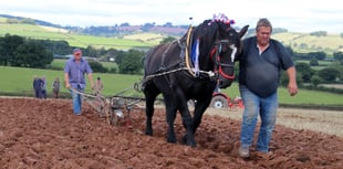 Don’t miss ploughing match this Sunday