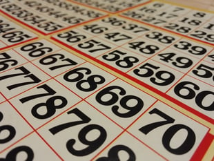 Bingo at Morchard Bishop raised £1,081.80
