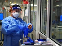 Two more deaths recorded in Mid Devon