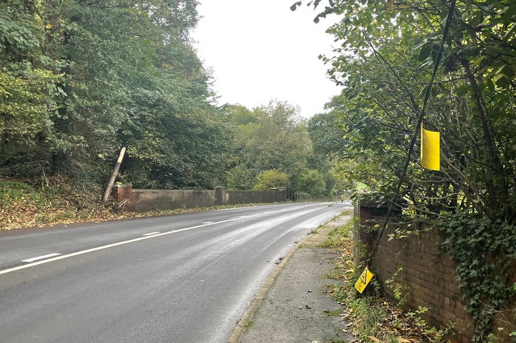 The broken pole to the left and hanging cable on the pavement and hedge. AQ 7456