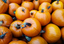 Pick-your-own Pumpkin Festival at Thorne’s Farm Shop