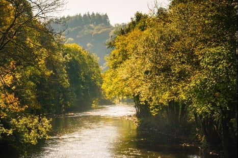 The river Batherm through Bampton.