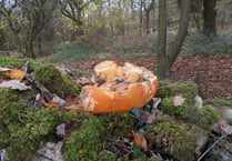 Urgent plea for people not to endanger wildlife by dumping pumpkins 
