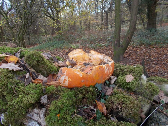  Pumpkins in woodland
