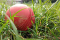 Could you be an umpire or scorer for Sandford Cricket Club?