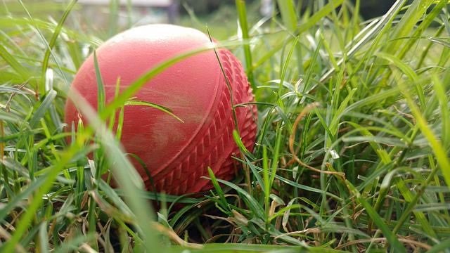 Sandford Cricket Club