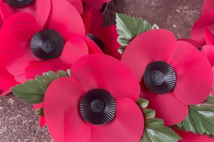 Poppy 4.jpg