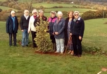 Colebrooke WI plant tree and hear about container planting
