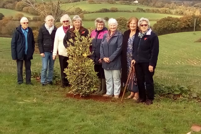 Colebrooke WI plant tree and hear about container planting
