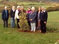 Colebrooke WI plant tree and hear about container planting
