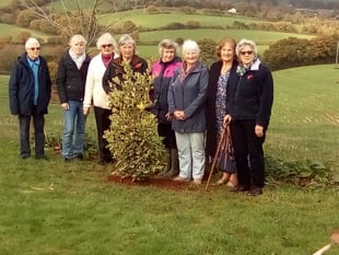 Colebrooke WI plant tree and hear about container planting
