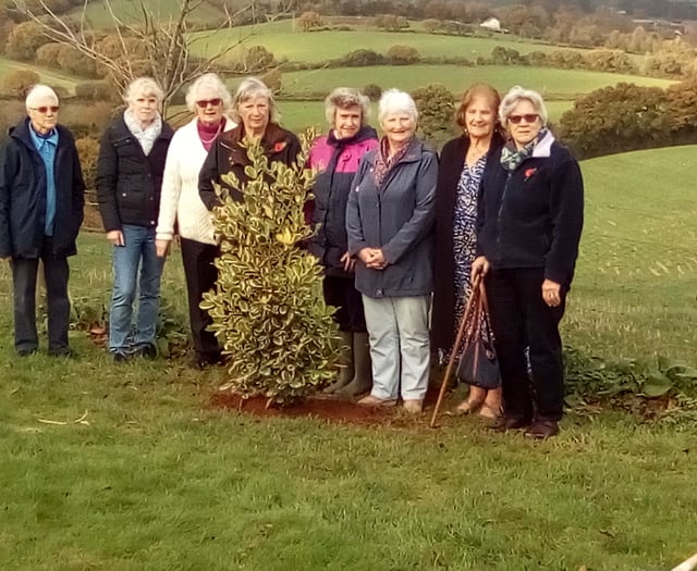 Colebrooke WI plant tree and hear about container planting
