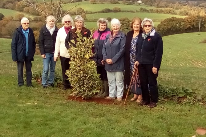 Members of Colebrooke WI after the planting of the Holly tree.
