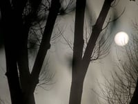 Hauntings on Friday the 13th at Crediton Arts Centre
