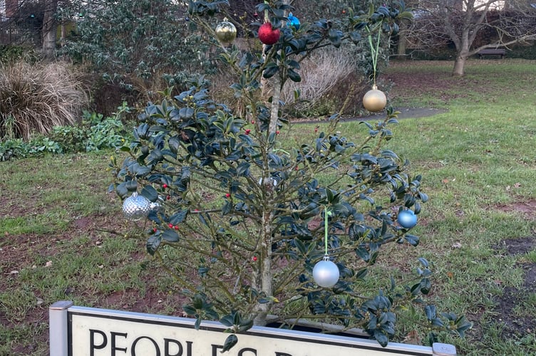 Baubles on one of the trees in People’s Park, Crediton.