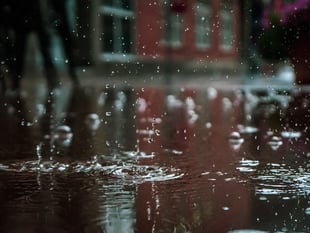 Weather station near North Tawton records 72 consecutive days of rain

