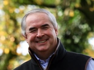 Devon MP calls for Dartmoor pony protection