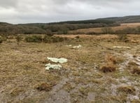 Suspended prison sentence for farmer who grazed cattle on SSSI site