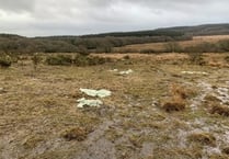 Suspended prison sentence for farmer who grazed cattle on SSSI site