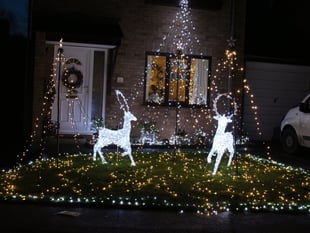Denise was Crediton Hamlets Westernlea Christmas lights winner