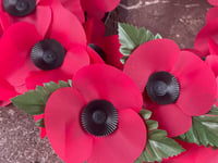 Letter: £14,000 plus raised for Poppy Appeal in Crediton and Hamlets