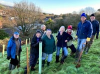 More trees to be planted by Sustainable Crediton during February half-term
