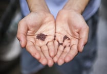 Seed Share at the Boniface Centre